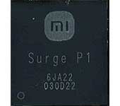 Surge P1