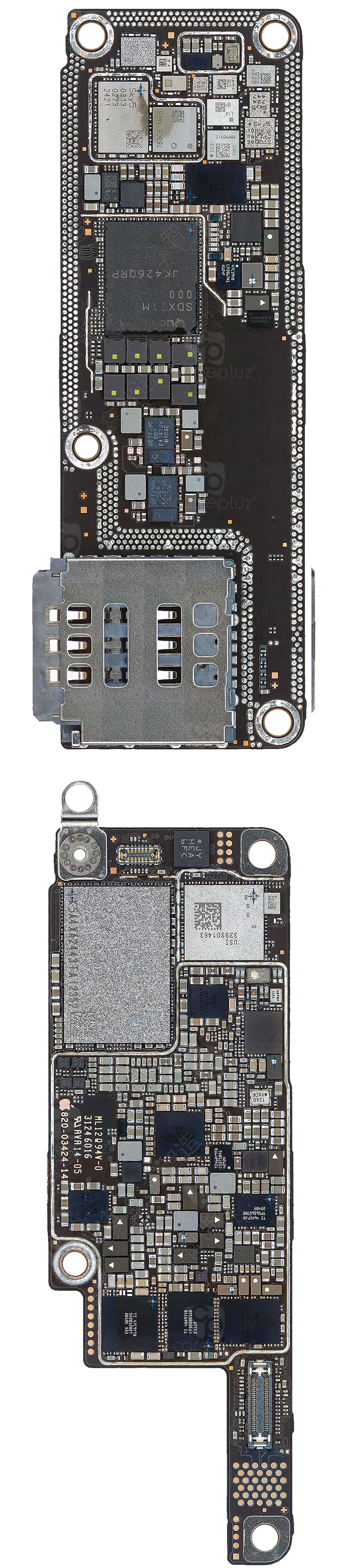 iPhone 16 Pro | iPhone 16 Pro Max