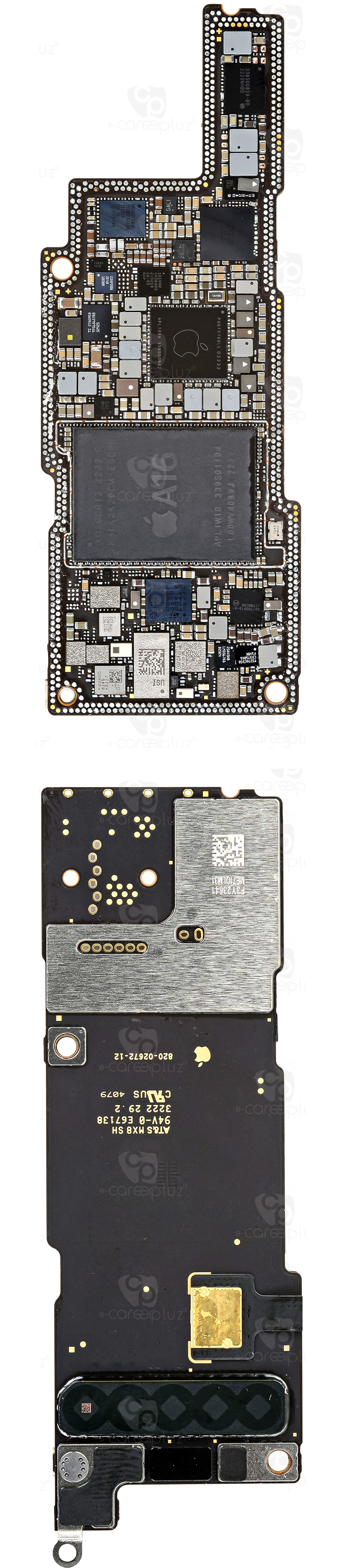 iPhone 14 Pro | iPhone 14 Pro Max