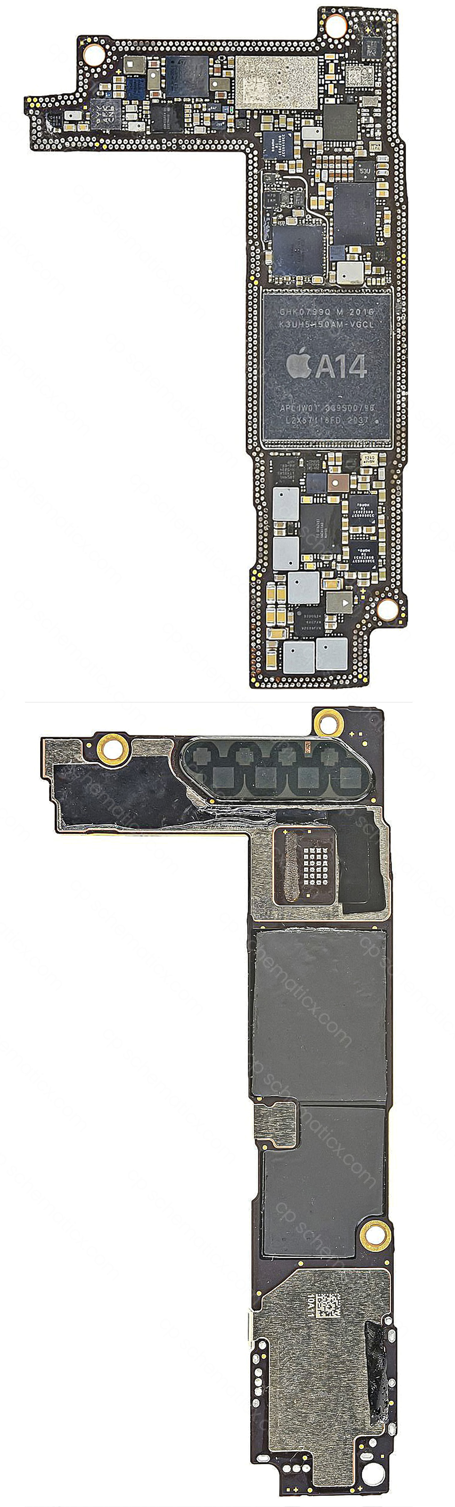 iPhone 12 mini